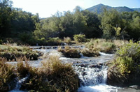 p7290053.jpg (153394 bytes)