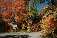 Cottonwood Campground