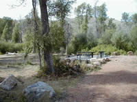 southfork2.jpg (82506 bytes)